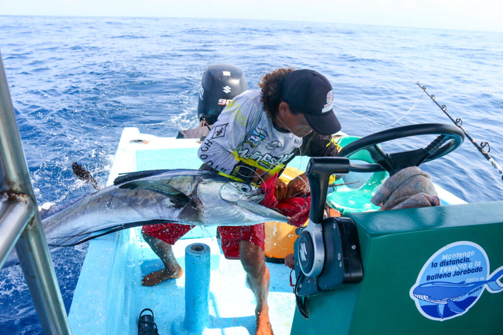 Consulta galeria pesca